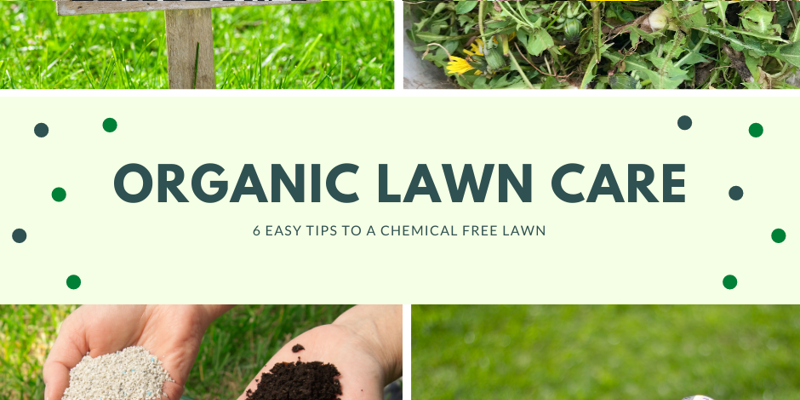 I. Introduction to Eco-Friendly Lawn Care Techniques