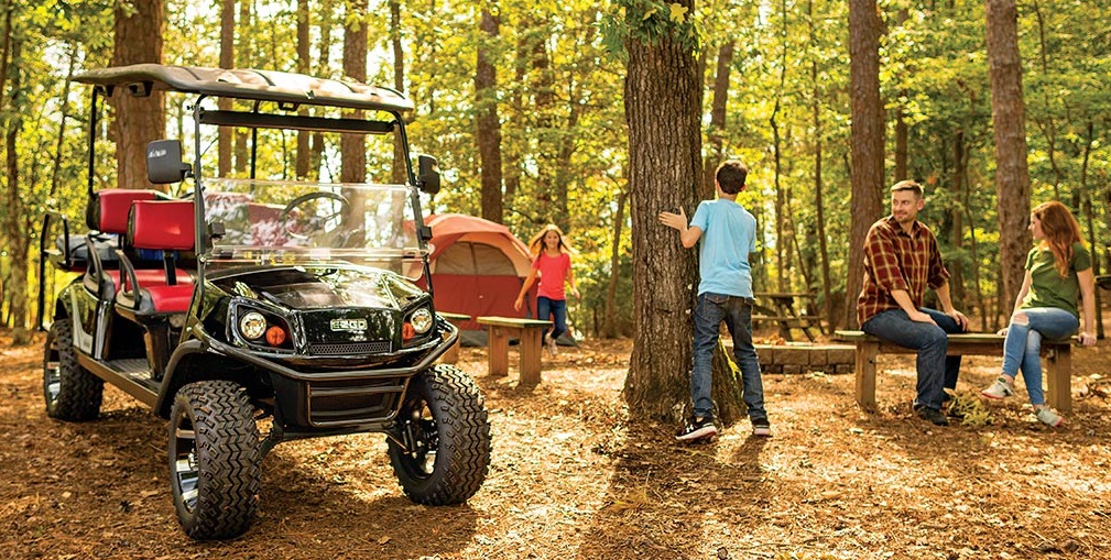 How To Test Golf Cart Motors Power Equipment Solutions Dayton