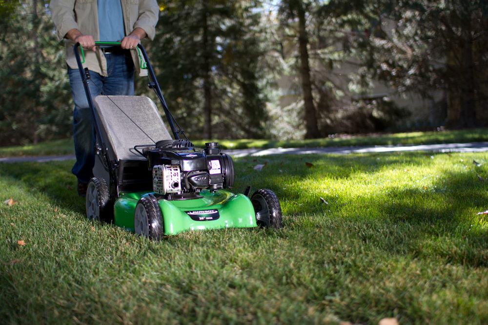 Alpine s Make it Easy Lawn Mower Buyer s Guide Alpine Lawn amp