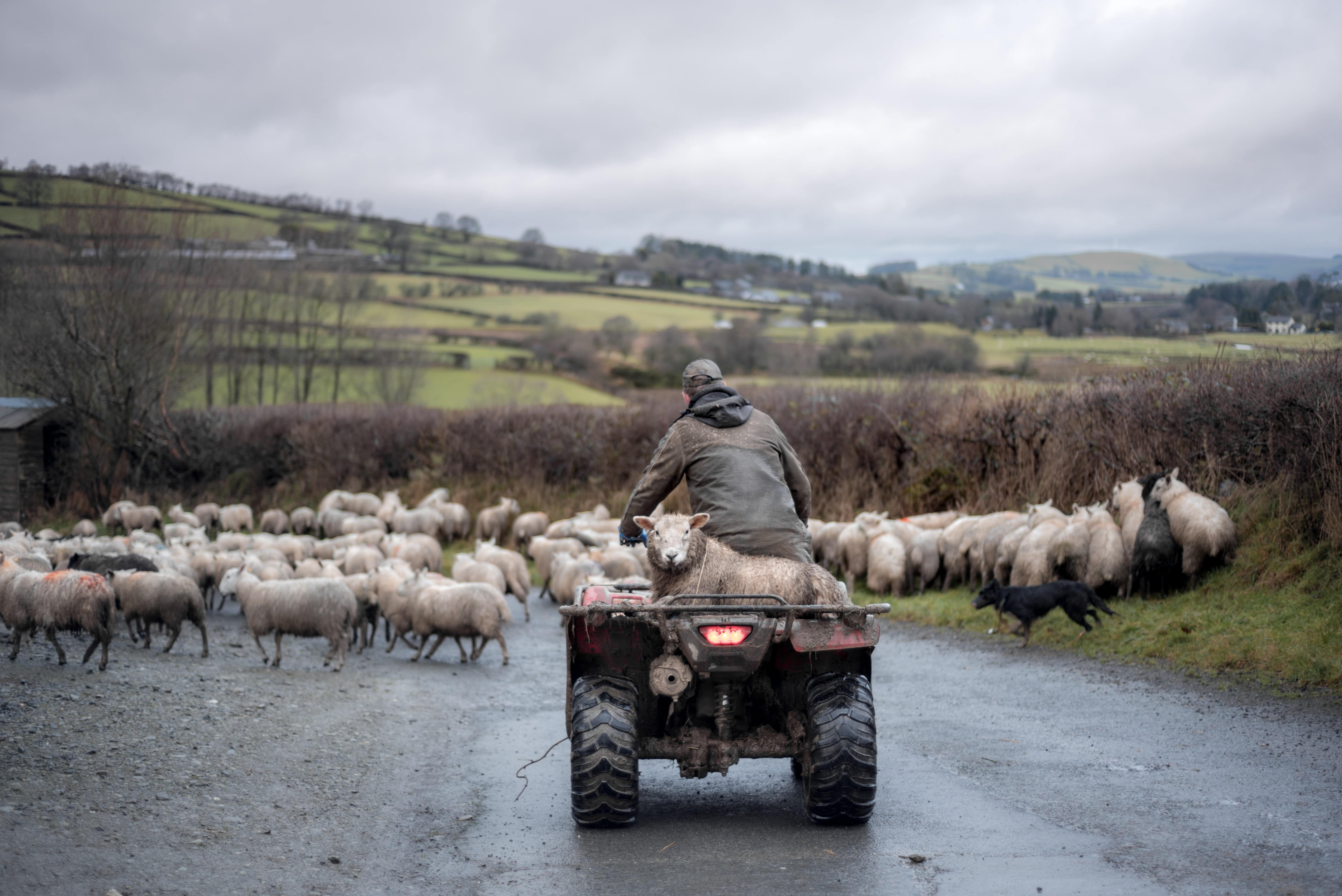 is-it-legal-to-drive-an-atv-on-the-road