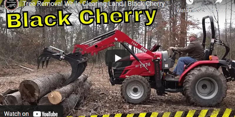 How to Use a Tractor to Remove a Tree Tractor Ranch Company Phoenix, AZ ...