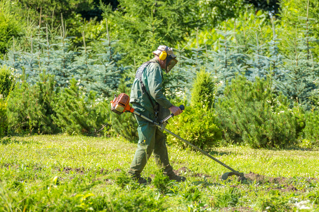 5 Tips to Help You Use a String Trimmer Like a Pro Bluffton Location